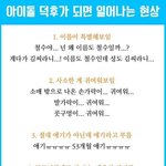 <b>아이돌팬</b> 특징