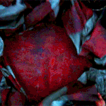 난 축구 보기만하는데도 징크스가 있음