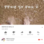 너네 <b>배리</b>나 알아?