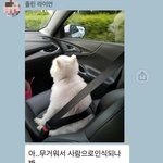[드루와] 강원도 내일 학교 안간다 ~ ~