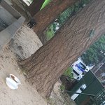 [고양이] 밥을놓고 대치중인 길냥이!