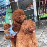 [댓글부탁해] 이동<b>수업</b><b>때</b> 짝남