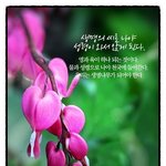 하나님의 생명의씨..