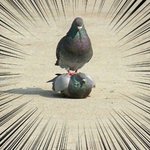 짝남한테 말 붙일 껀<b>덕지</b>가 없어