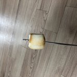 나 <b>마쉬</b>멜로 개잘구움