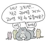 [댓글부탁해] 다이어트에 효과적인 방법이 뭐냐면