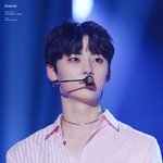 덕깍지는 진짜 연구 대상인듯