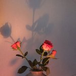 작사가가 꿈이라서 매일 <b>작사</b>노트 쓰는데