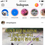 •••산채로 강아지를 냉동고에 얼려죽인 청주시 반려<b>동물</b>센터•••