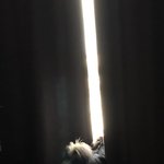 인생 립밤 추천좀 ㅠㅠ