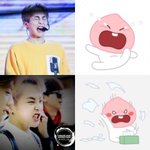 [EXO] A<b>피치</b> 시우민