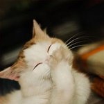 <b>팥죽</b>을먹고있지