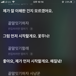 뭣같은 <b>시리</b>녀뉴ㅠㅠㅠ