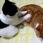 짝녀 엉덩이 <b>주물</b>