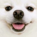 [드루와] 고딩판<b>녀</b>들앙 <b>한</b>달용돈 얼마받아?
