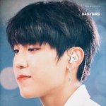[박우진] 오늘 <b>청순</b>청순열매 먹었나봐 ㅜㅜㅜㅜ