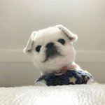 배경<b>화면</b> 할 사진 공유해쥴사람