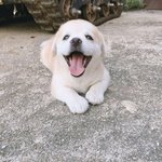 <b>절미</b> 아는 사람