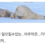 애두랑 안 자구 <b>모해</b>!!!!!!!!!!!!