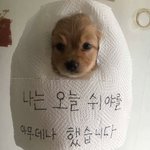 <b>잘</b> <b>자</b>