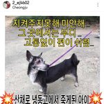[EXO] <b>인류애</b> 다 떨어진다