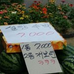 [댓글부탁해] 여기 도와줄 <b>천재</b>있냐?이거 진짜 머리좋은애들만