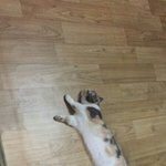[댓글부탁해] 우리반 아싸 ㅈㄴ 같잖음ㅋㅋㅋㅋ
