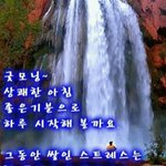 [댓글부탁해] 요즘 <b>인싸</b>들 프사