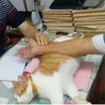 [댓글부탁해] 몇달전부터 양<b>홍원</b> 얘기 왤케 올라오냐