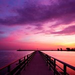 fur도 복수 가능?