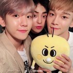 [EXO] 다람<b>지들</b> ㄱㅇㅇ