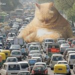 <b>ucc</b>만드는거 동영상이면 다 돼?