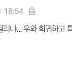 조카 이 꽈배기년 개빡치네 ㅋㅋㅋ