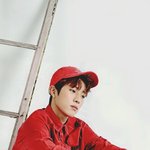 [인피니트] 성열 실트총공좀 같이 해주라