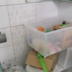 햄스터의 기르기의 최대<b>난관</b>은 다른데서 생겼는데~~~