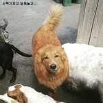 '깜빡'한 사람들의 <b>최후</b>