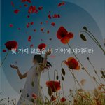 [좋은글귀] 몇 가지 교훈을 네 기억에 새겨둬라