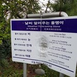 나 지금 <b>치즈</b>올린 <b>불닭</b>에 계란찜먹는중