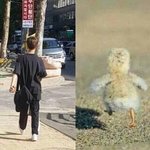 나 원래 나은 안좋아했는데
