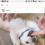 아이폰 8살까 7살까 ㅠㅠ 추반좀