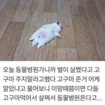 [드루와] 나 ㄹㅇ <b>수포</b>잔데