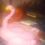 선미 <b>수중</b> 몰카?