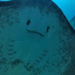 [댓글부탁해] 이말 들을때 약간 <b>뿌듯</b>하지않음?