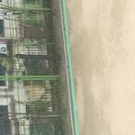 [드루와] 비 <b>개마</b>니와