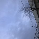 [드루와] 나 꿈꿨는데 축구 <b>우승</b>함