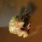 [사진주의] (<b>미방</b>)병아리태어났는데 눈알이 없음(사진추가)