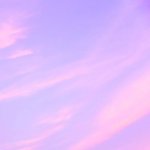 귀여운 작은 <b>수첩</b>이 생겼어
