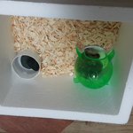 새끼들을 다 죽이려고 하네~~~~