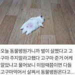 [댓글부탁해] 독서실에서 뒷자리사람이 방귀끼고 <b>트름</b>하는ㄷ