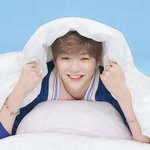 [강<b>다니엘</b>] ✨녤톡 즐찾 3300 기념 짤파티✨